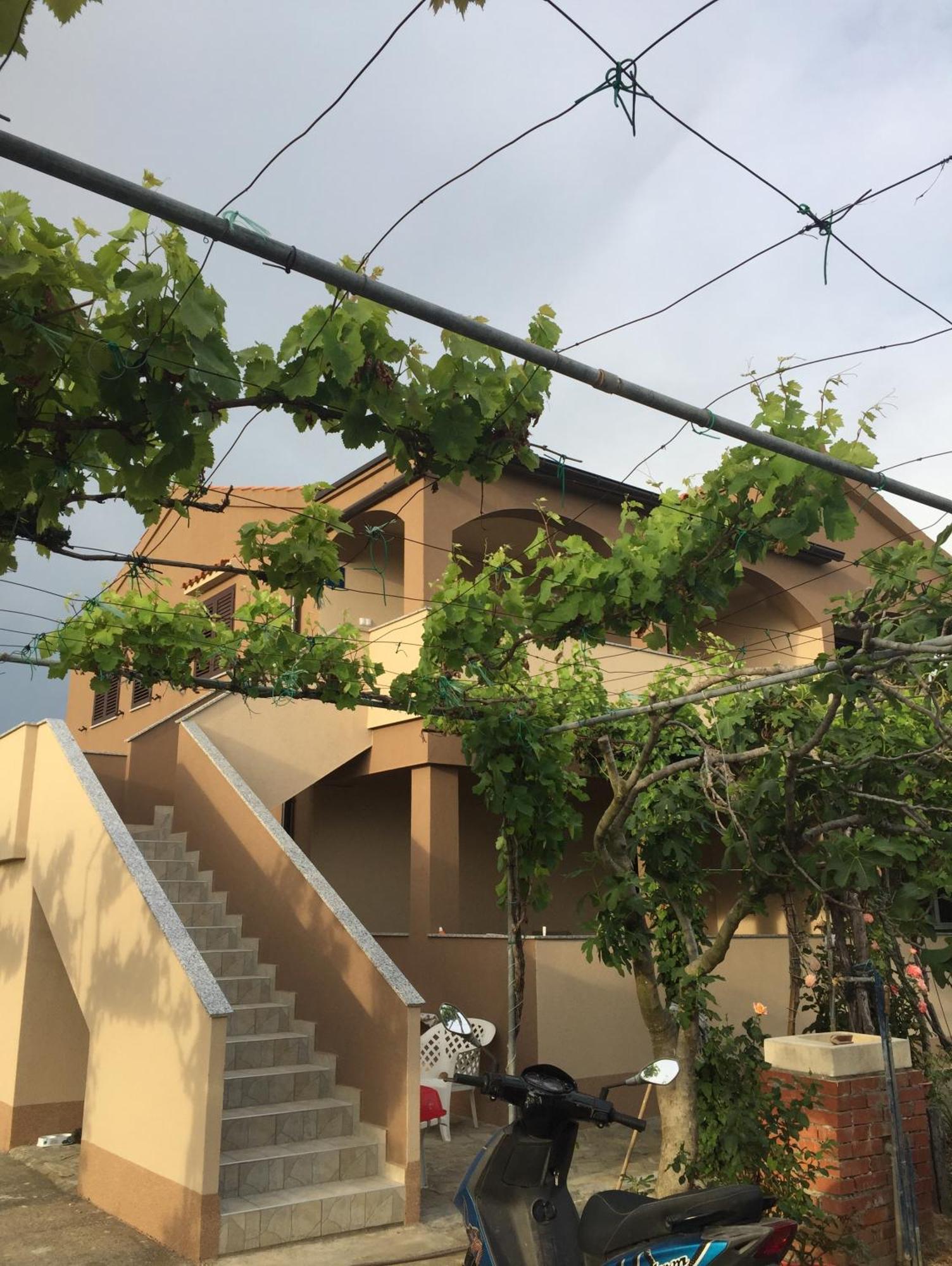 נין Apartments Anka מראה חיצוני תמונה